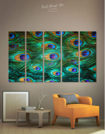 5 Pieces Peacock Feathers Canvas Wall Art