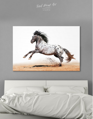 Appaloosa Horse Canvas Wall Art