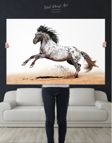 Appaloosa Horse Canvas Wall Art - image 7