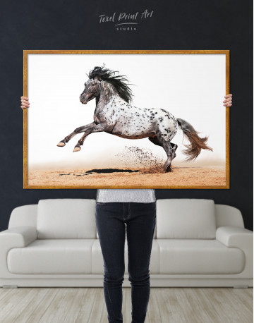Framed Appaloosa Horse Canvas Wall Art - image 3