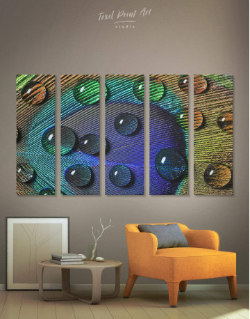 5 Panels Close Up Peacock Feather Canvas Wall Art