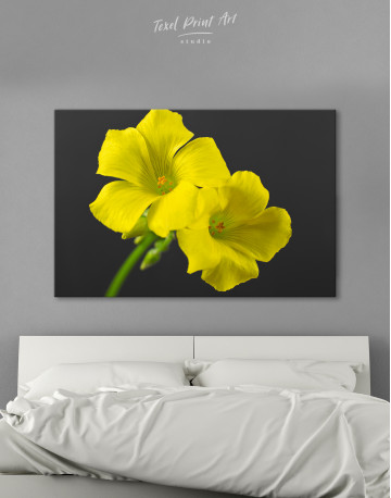 Yellow Primrose Canvas Wall Art - image 1