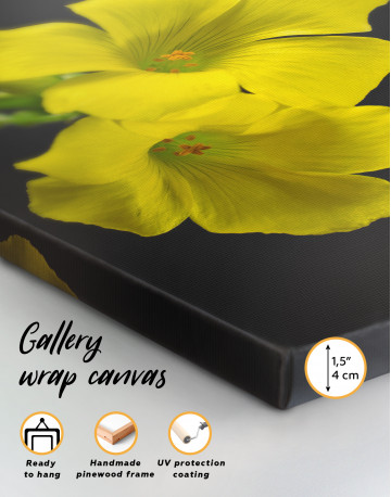 Yellow Primrose Canvas Wall Art - image 5