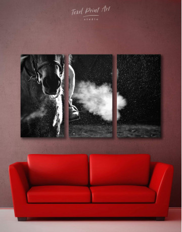 3 Panels Black and White Horse Canvas Wall Art