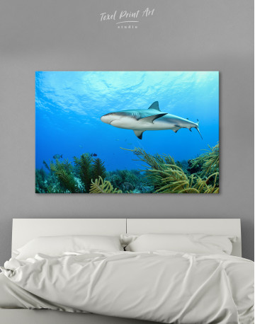 Ocean Shark Underwater Canvas Wall Art - image 5