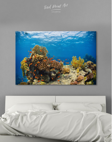 Underwater Coral Canvas Wall Art - image 2