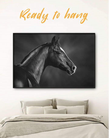 Framed Horse Black Stallion Canvas Wall Art