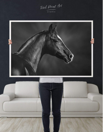 Framed Horse Black Stallion Canvas Wall Art - image 2