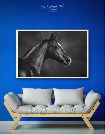 Framed Horse Black Stallion Canvas Wall Art - image 1