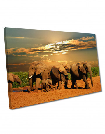 African Elephants Safari Canvas Wall Art