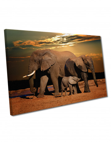 Sunset and Elephants Canvas Wall Art