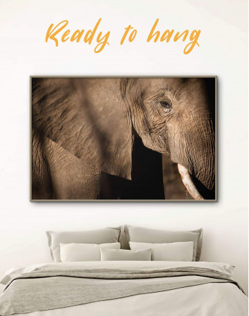 Framed Wild Elephant Canvas Wall Art