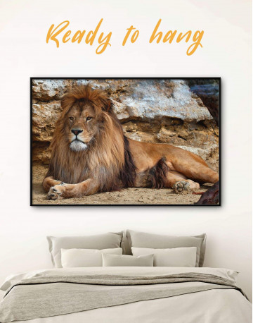 Framed Wild Lion Canvas Wall Art