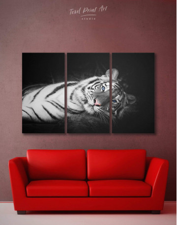 3 Panels Black and White Wild Tiger Canvas Wall Art
