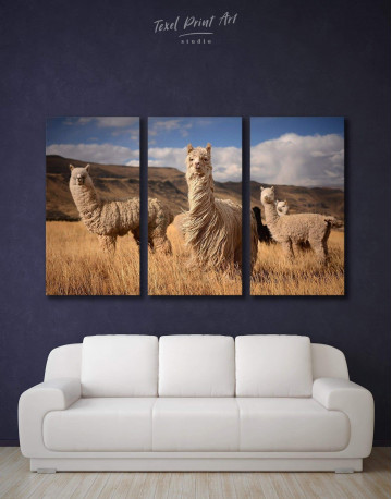 3 Piece Wild Llamas Canvas Wall Art