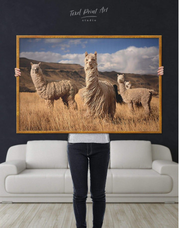 Framed Wild Llamas Canvas Wall Art - image 2