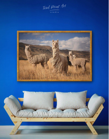 Framed Wild Llamas Canvas Wall Art - image 1