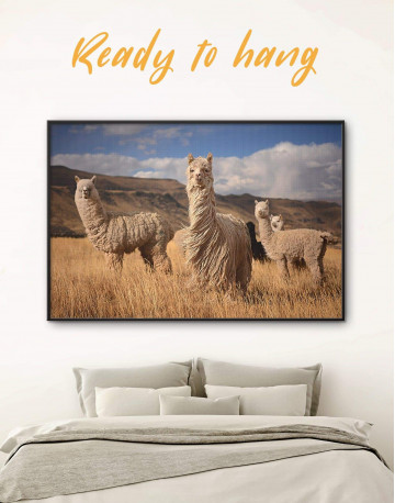 Framed Wild Llamas Canvas Wall Art