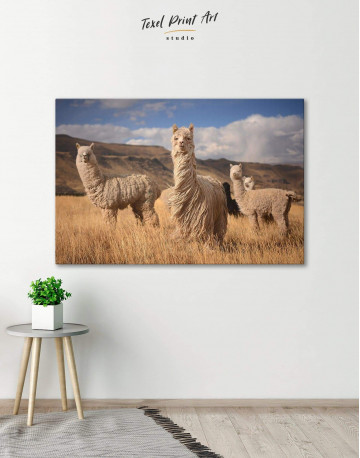 Wild Llamas Canvas Wall Art - image 1