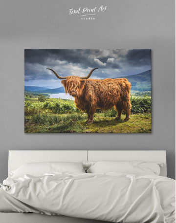 Highland Cow on Pasture Canvas Wall Art