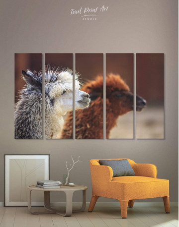 5 Pieces Llama Canvas Wall Art