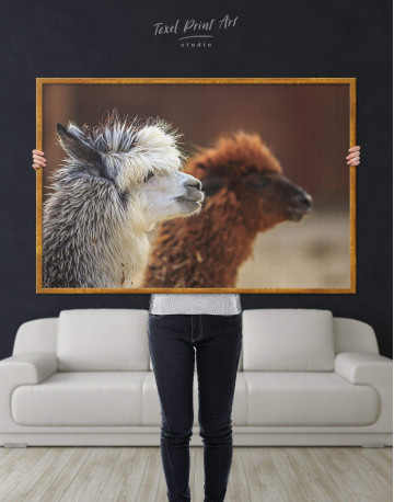 Framed Llama Canvas Wall Art - image 1
