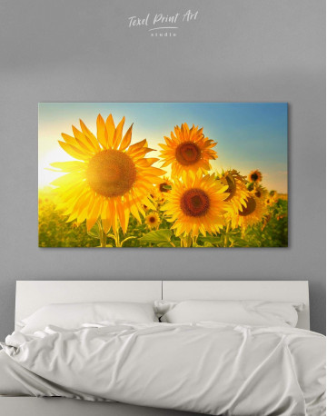 Sunflowers Field Canvas Wall Art