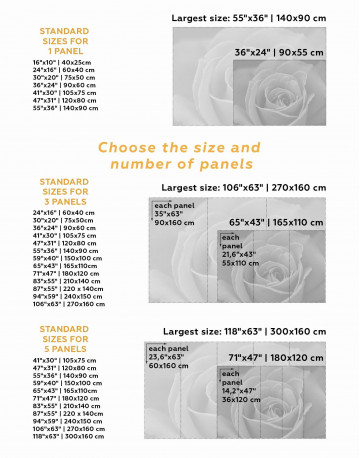 5 Panels Red Rose Canvas Wall Art - image 2