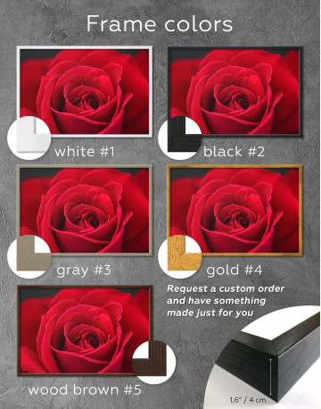 Framed Red Rose Canvas Wall Art - image 3