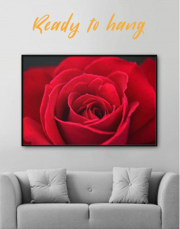 Framed Red Rose Canvas Wall Art