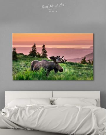 Wild Moose Canvas Wall Art