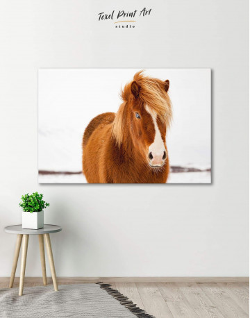 Icelandic Horse Canvas Wall Art