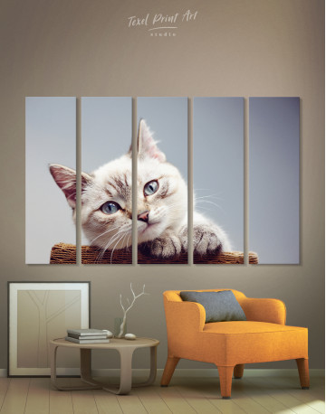 5 Panels Cute Kitten Canvas Wall Art