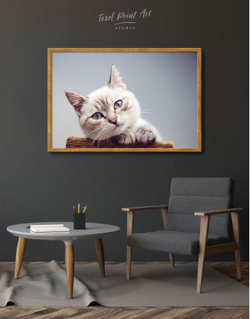 Framed Cute Kitten Canvas Wall Art - image 3