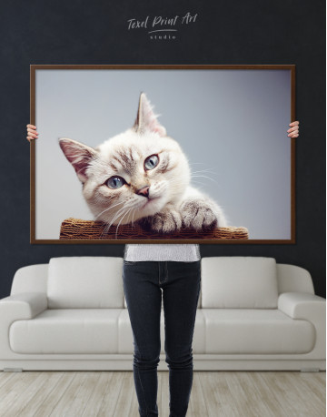 Framed Cute Kitten Canvas Wall Art - image 4