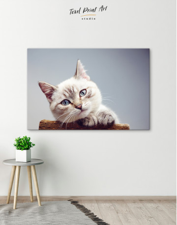 Cute Kitten Canvas Wall Art - image 2