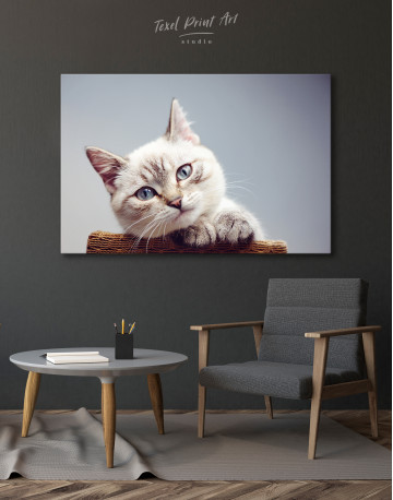 Cute Kitten Canvas Wall Art - image 4