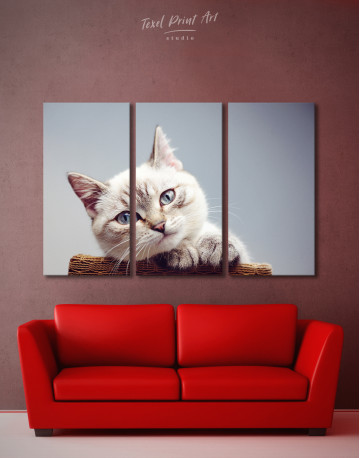 3 Panels Cute Kitten Canvas Wall Art