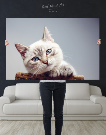 Cute Kitten Canvas Wall Art - image 10