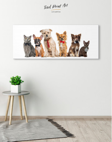 Cute Cats and Dogs Canvas Wall Art - image 3