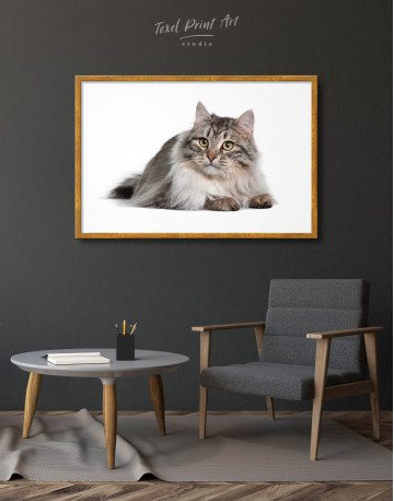 Framed Siberian Cat Canvas Wall Art - image 2