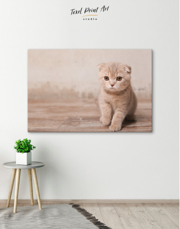 Tan Scottish Fold Kitten Canvas Wall Art - image 4