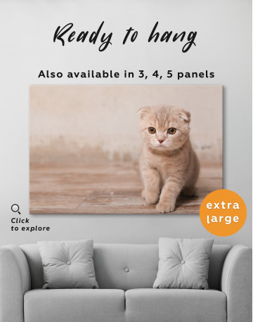 Tan Scottish Fold Kitten Canvas Wall Art - image 7