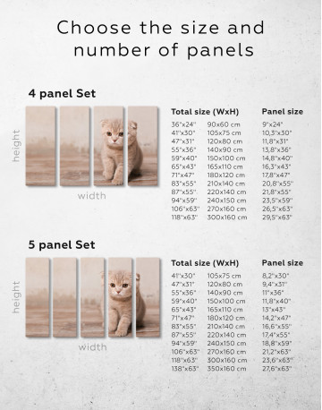 Tan Scottish Fold Kitten Canvas Wall Art - image 9