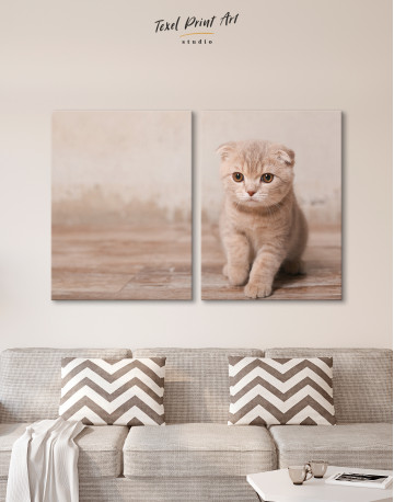 Tan Scottish Fold Kitten Canvas Wall Art - image 10
