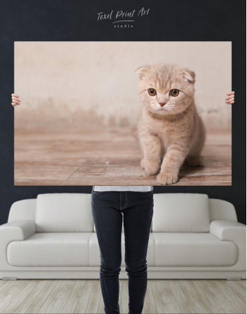 Tan Scottish Fold Kitten Canvas Wall Art - image 1