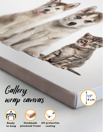Young Huskies and Kitten Canvas Wall Art - image 8