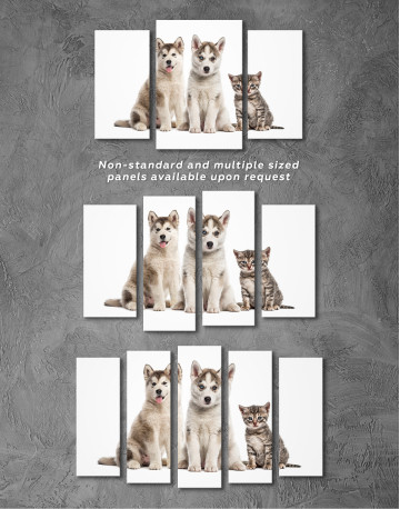 Young Huskies and Kitten Canvas Wall Art - image 3