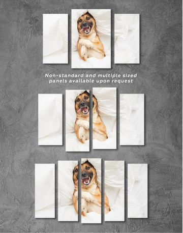 Happy Dog in Bed Canvas Wall Art - image 5