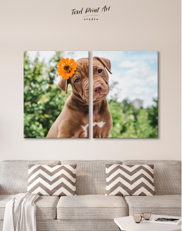 Cute Brown Labrador Puppy Canvas Wall Art - image 9